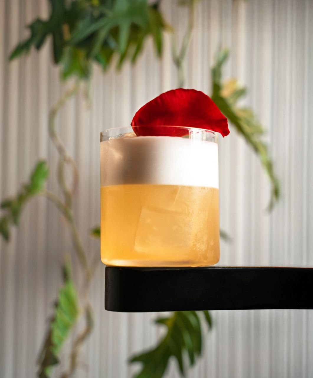 pinkeva Cocktail